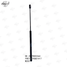 BAQAJ AMORTIZATOR W202