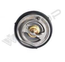 TERMOSTAT M601 65*C